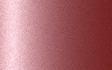 ALPINE Rose Bruyere Heritage 792