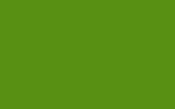 ASTON MARTIN Kermit Green AST5095D