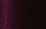 BENTLEY Black Velvet 9560064