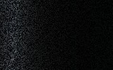 BENTLEY Black Crystal 9560146