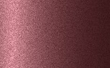 BENTLEY Light Claret 9560186