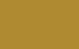 BMW Araber Gold 613