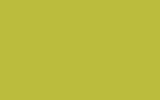 BMW Sao Paulo Gelb/Zesty Yellow Uni YC4H