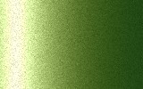 BMW Frozen Tampa Bay Green WP9B