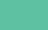 BMW Mint Green W97