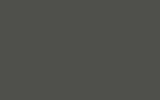 CHRYSLER Ceramic Gray 264
