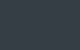 CITROEN Squid Ink Grey EDM