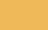 DAEWOO Jamaica Yellow 53L
