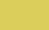 DAEWOO Yellow 54K