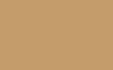 DAIHATSU Apricot Beige T05