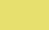FIAT / LANCIA Giallo Pagoda 223