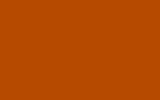 FIAT / LANCIA Arancio 570