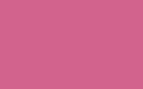 FIAT / LANCIA Pink 131