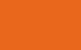 FIAT / LANCIA Arancio Rtt 031E