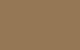 FIAT / LANCIA Beige Daino 80 533