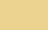 FIAT / LANCIA Giallo Vaniglia/Coriandolo 541