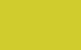 FIAT / LANCIA Acid Yellow 878