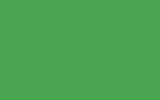 FORD EUROPE Signal (Race) Green 77 1017