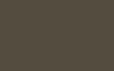 FORD EUROPE Brown Grey Ral7013-Hr BFT