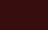 FORD EUROPE Dark Maroon PCNECE