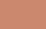 FORD EUROPE Beige Red QXS