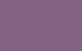 FORD EUROPE Red Lilac Ral4001-Gl DNS