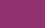 FORD EUROPE Traffic Purple 4006-Gl CBT