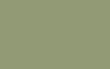 FORD EUROPE Highland Green 1430A