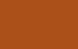 FORD EUROPE Autumn Orange 1497A