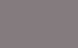 FORD EUROPE Grey Violett 2710A
