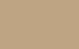 HONDA Suede Beige YR58
