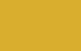 HONDA Cocos Yellow Y47