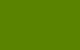 HYUNDAI Cliff (Cup) Green CG