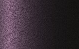 JAGUAR Purple Gold 862