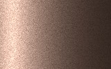 JAGUAR Light Brown 791