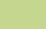 KIA Light Green MV