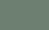 LAND ROVER Atlantic Green 726