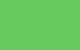 LEXUS Fresh Green 9J7