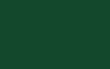MAZDA Pine Green FR