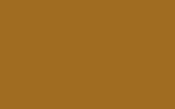 MAZDA Coconut Brown NB