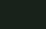 MINI Brewster Green YT42