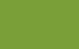 MITSUBISHI Louisiana Green AC10526