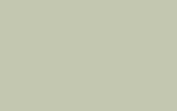 NISSAN Pale Green QP2