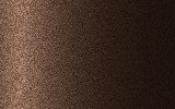 NISSAN Dark Brown 236