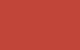 NISSAN Red AT5