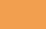 NISSAN Yellow Orange 129