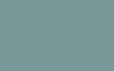 NISSAN Lt Bluish Green FJ0