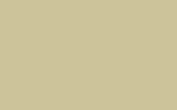 NISSAN Bean Yellowish Green J11