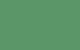 NISSAN Green 758
