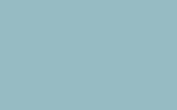 NISSAN Light Blue 613